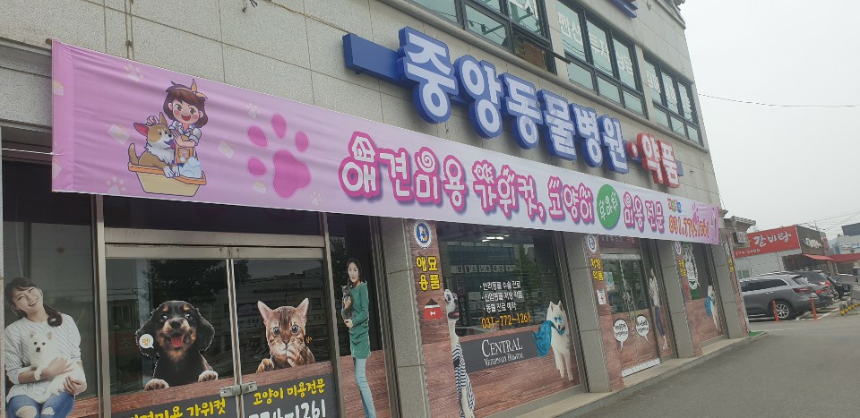 31396258_6Vv1ATqR_339ec8ad9cf6e27b0b62fba556cb54cfc59b20f3.jpg 이미지크게보기