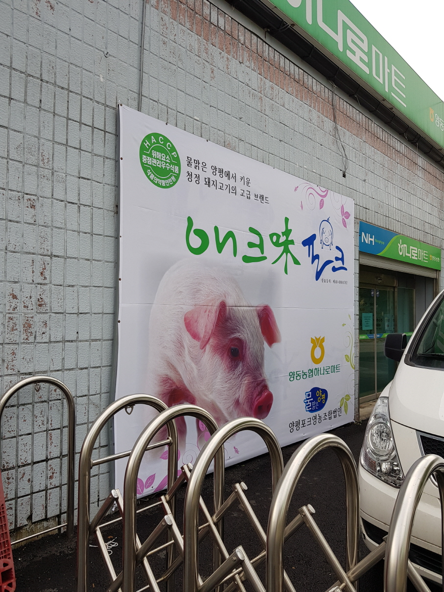 2049928719_5vfUqbTg_1f165e8f0262565e10f3721a915101f13e2c94ad.jpg 이미지크게보기