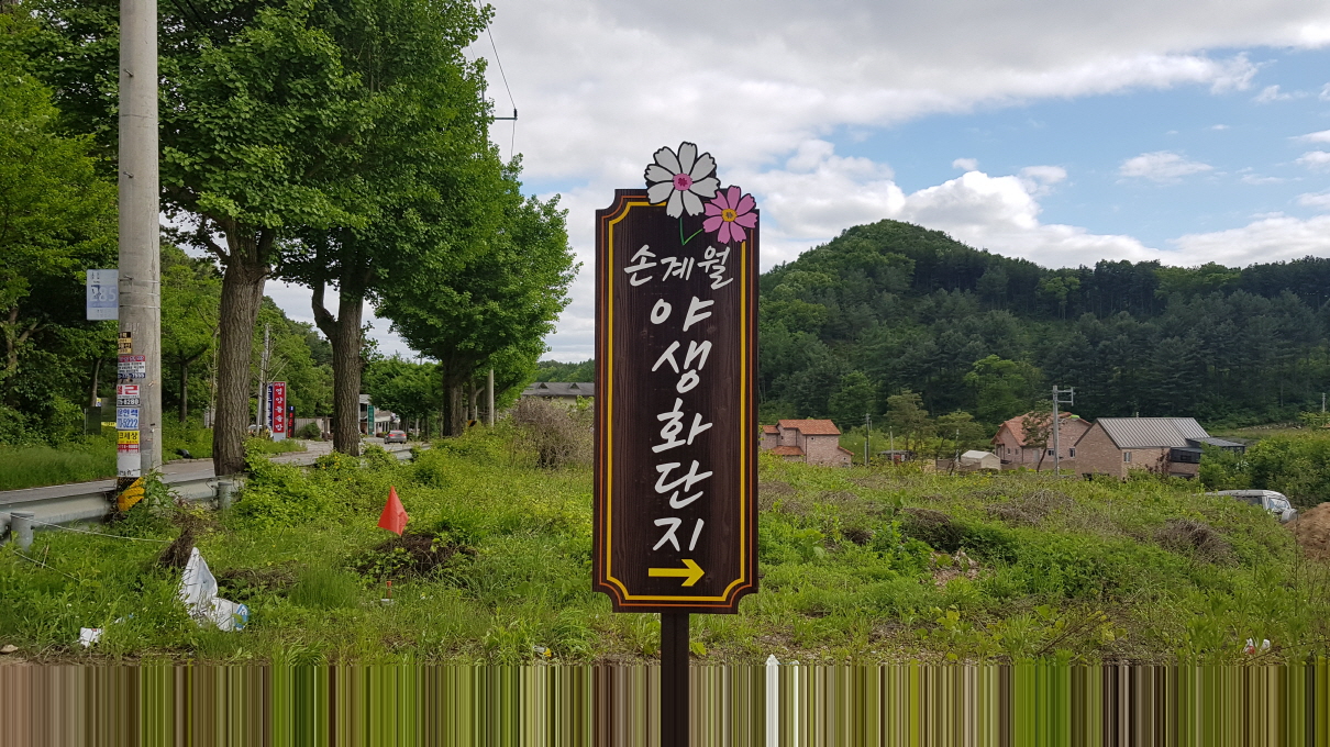 2049928719_W9lV5SkA_d48dc1af2a7880f19a3b4b64fb1fbc55f7d84541.jpg 이미지크게보기